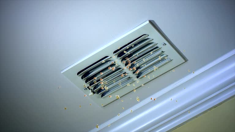 Best Affordable Duct Cleaning Services  in Corry, PA