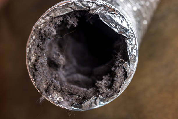 Best HVAC System Cleaning  in Corry, PA